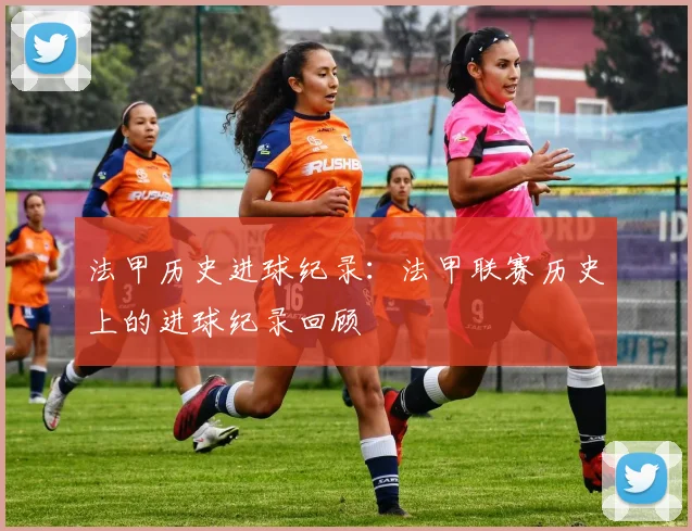 法甲历史进球纪录：法甲联赛历史上的进球纪录回顾