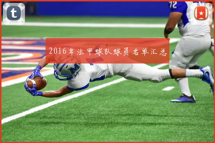 2016年法甲球队球员名单汇总